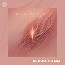 Spark Authority