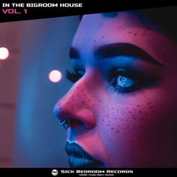 In the Bigroom House, Vol. 1 by Sick Bedroom Records