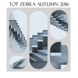 Top Zebra Autumn 2016