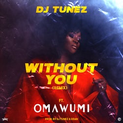 Without You - Remix