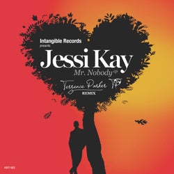 Mr Nobody (Terrence Parker Remix)