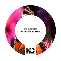 Eclectic Flying