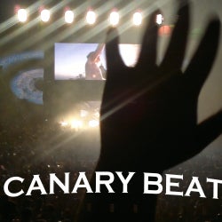 CanaryBeat Dance Portal release chart!