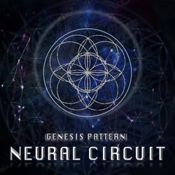 Neural Circuit