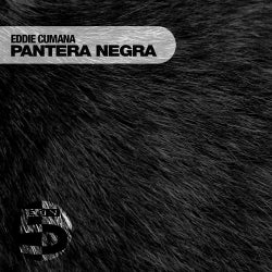 Pantera Negra (Unreleased Mixes)