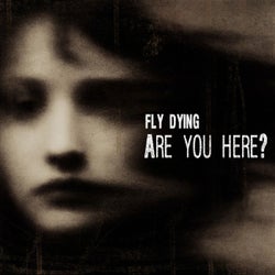 Are You Here