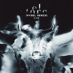 El Toro (Nyxel Remix)