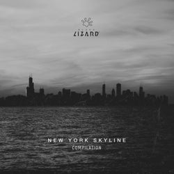 New York Skyline Compilation