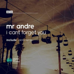I Can't Forget You