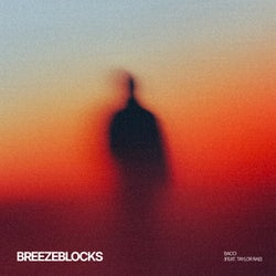 Breezeblocks