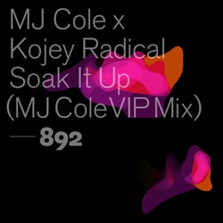 Soak It Up - MJ Cole VIP Mix