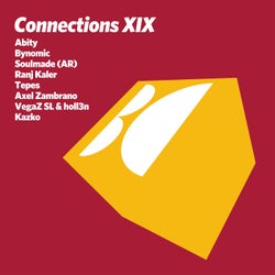 Connections, Vol. XIX