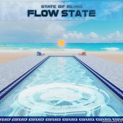 Flow State