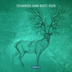 Techhouse Raw Beatz 2020