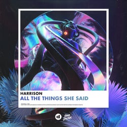 All the Things She Said (Extended Mix)
