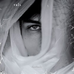 Veil