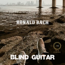 Blind guitar