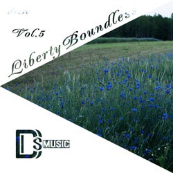 Liberty Boundless, Vol. 5