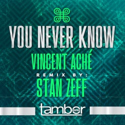 You Never Know - Stan Zeff Remix