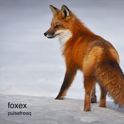 Foxex