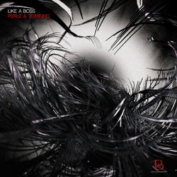 LIKE A BOSS - Original Mix