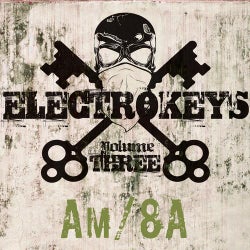Electro Keys Am/8a Vol 3
