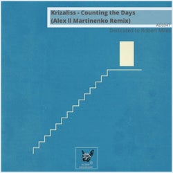 Counting the Days (Alex ll Martinenko Remix)