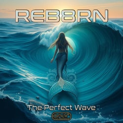 The Perfect Wave