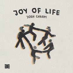 Joy Of Life (Extended Mix)