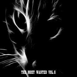 The Most Wanted, Vol. 6