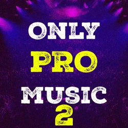 Only Pro Music, Vol. 2