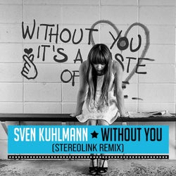 Without You (Stereolink Remix)
