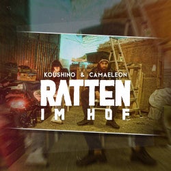 Ratten im Hof