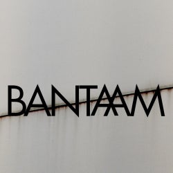 Bantaam - Grey Charts