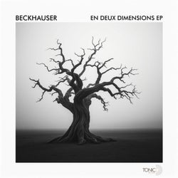 En Deux Dimensions EP