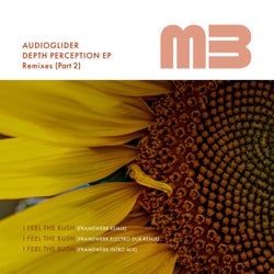 Depth Perception EP (The Remixes, Pt. 2)