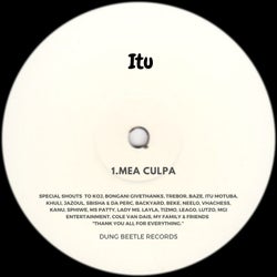 Mea Culpa