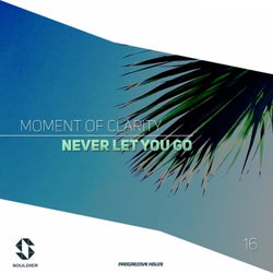 Never Let You Go (Original Mix)