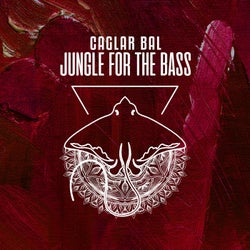 Jungle For The Bass