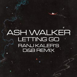 Letting Go (Ranj Kaler's D&B Remix)