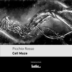 PICCHIO ROSSO CELL MAZE CHART.