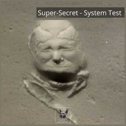 System Test