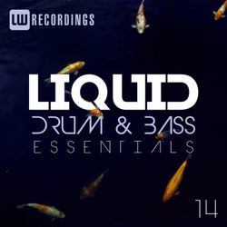 Liquid Drum & Bass Essentials, Vol. 14