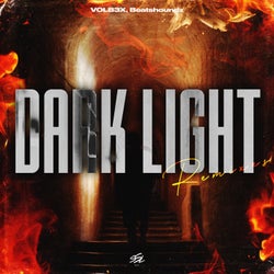 Dark Light (Remixes)