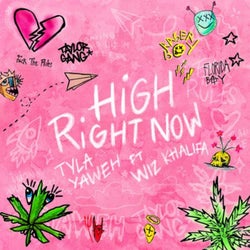 High Right Now (Remix)
