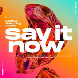 Say It Now (feat. RAENE) [Extended Mix]