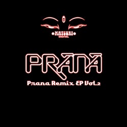 Prana Remix Vol.2