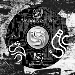 Various Artists Vol. 1