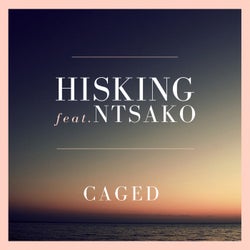 Caged (feat. Ntsako)