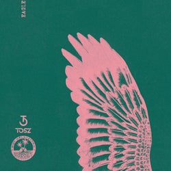 Eagle (Edit)